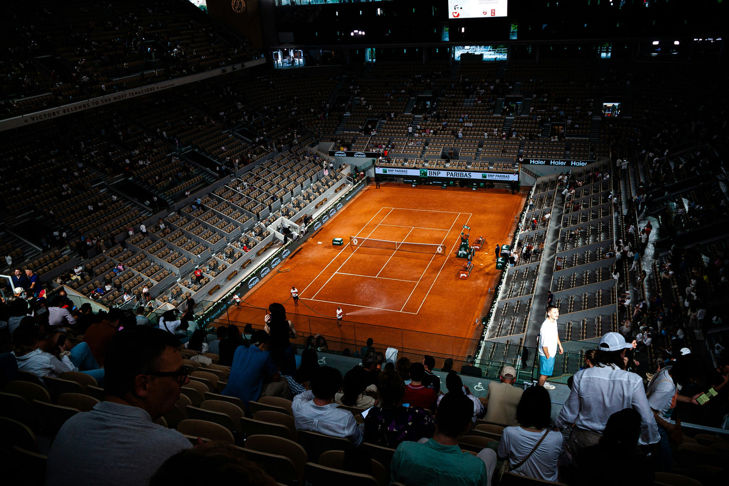 Tenis